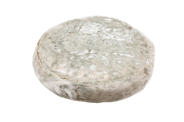 Saint Nectaire Fermier AOP (Cow's Milk) - Prime Gourmet Online