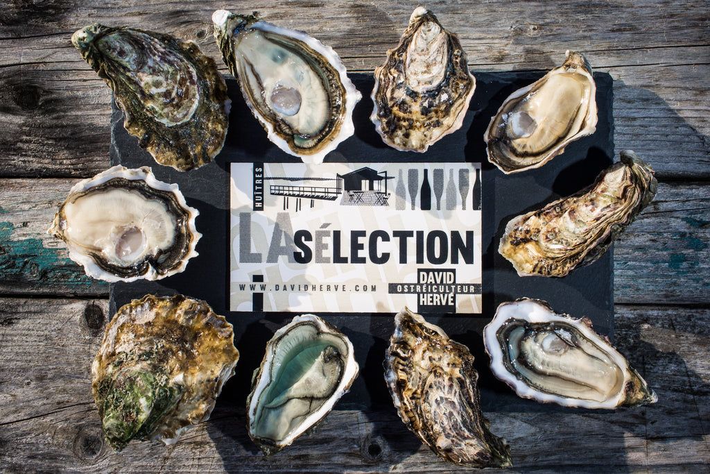 Oysters ON PREORDER - Prime Gourmet Online