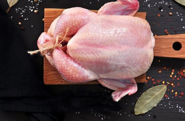 Poultry