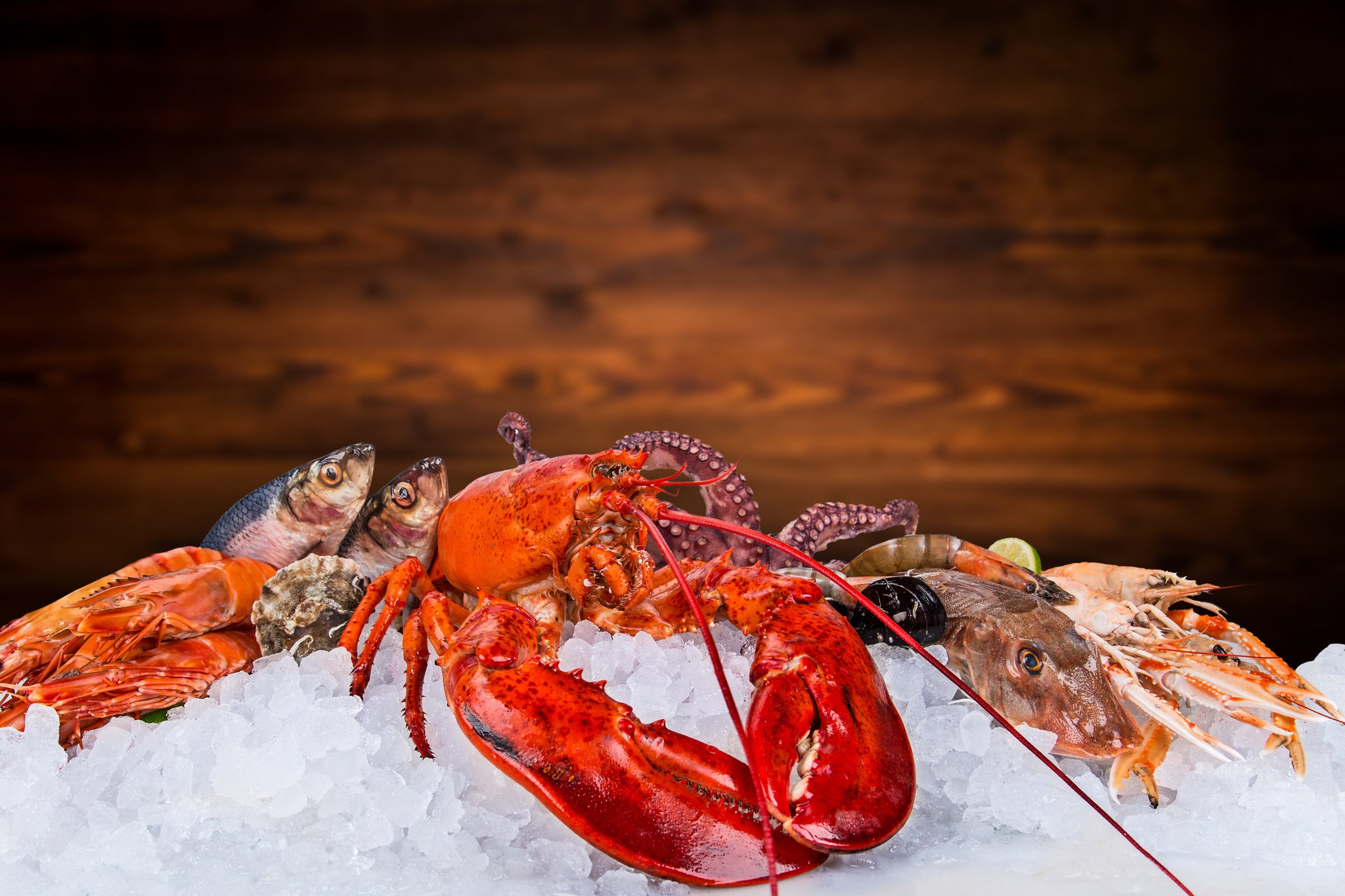 Shellfishes - Prime Gourmet Online