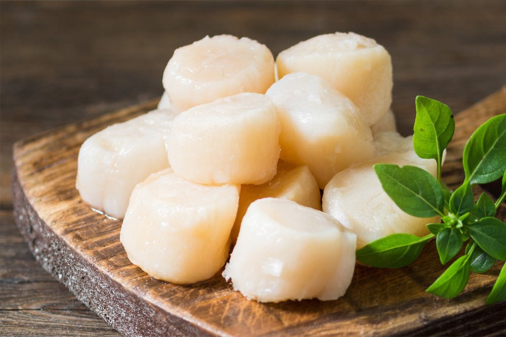 Frozen Canadian Scallops 1kg - Prime Gourmet Online