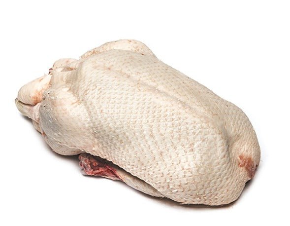 Frozen Whole Female Duck approx 1.6kg - Prime Gourmet Online