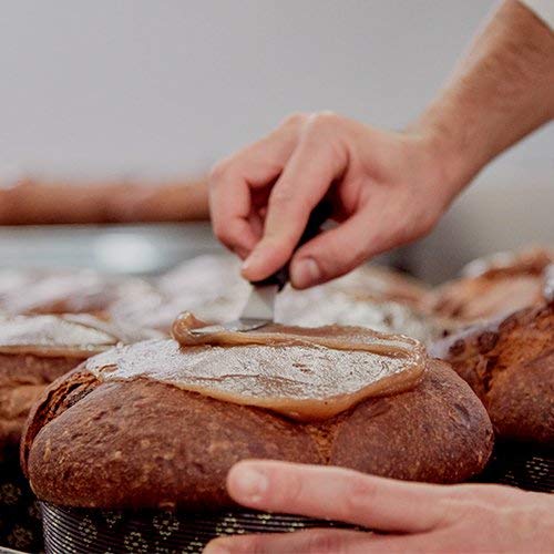 Dolce & Gabbana Marron Glace & Gianduja Panettone 1kg - Prime Gourmet Online