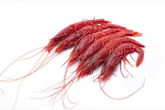 Frozen Spanish Carabinero Prawn - Prime Gourmet Online