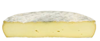 Saint Nectaire Fermier AOP (Cow's Milk) - Prime Gourmet Online